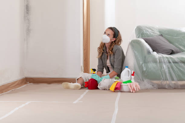 Reliable Basement Mold Remediation contractor in Central Lake, MI by Car Mold Remediation